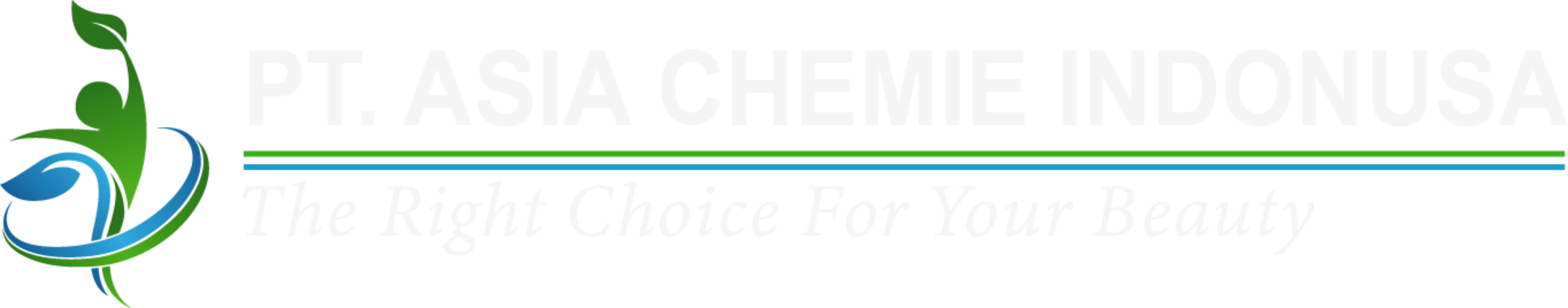 PT Asia Chemie Indonusa